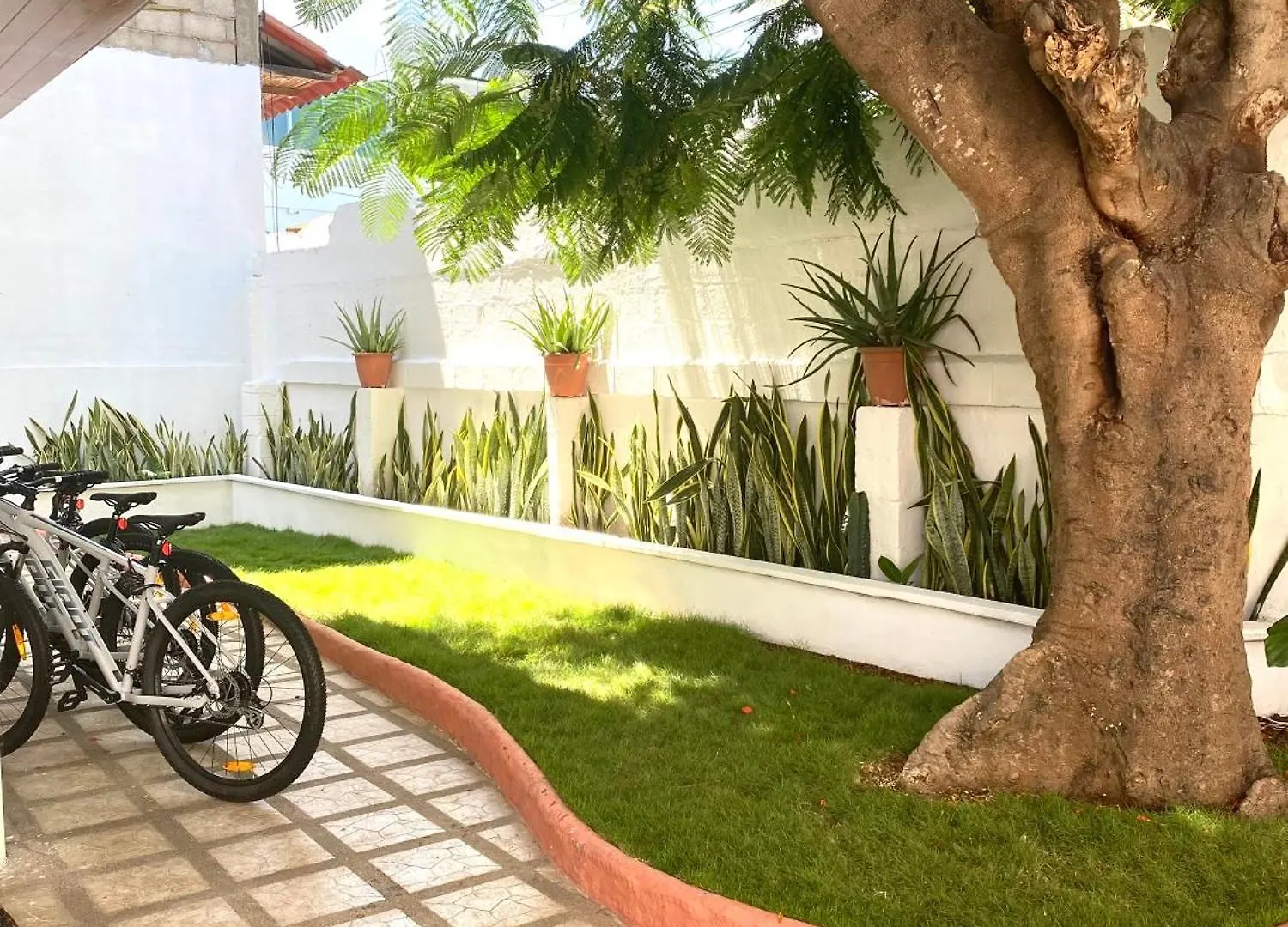 El Barranco Galapagos Hotel Puerto Ayora  Ecuador
